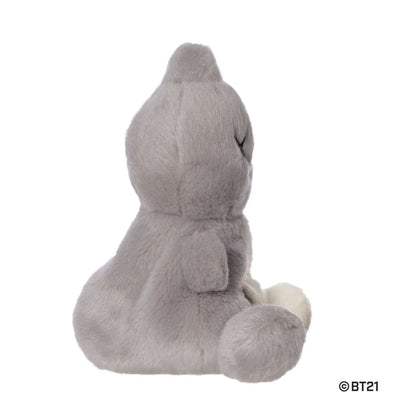 BT21 VAN - Palm Pal Plush - 13 cm