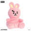 BT21 Cooky Pal Plush - 13 cm