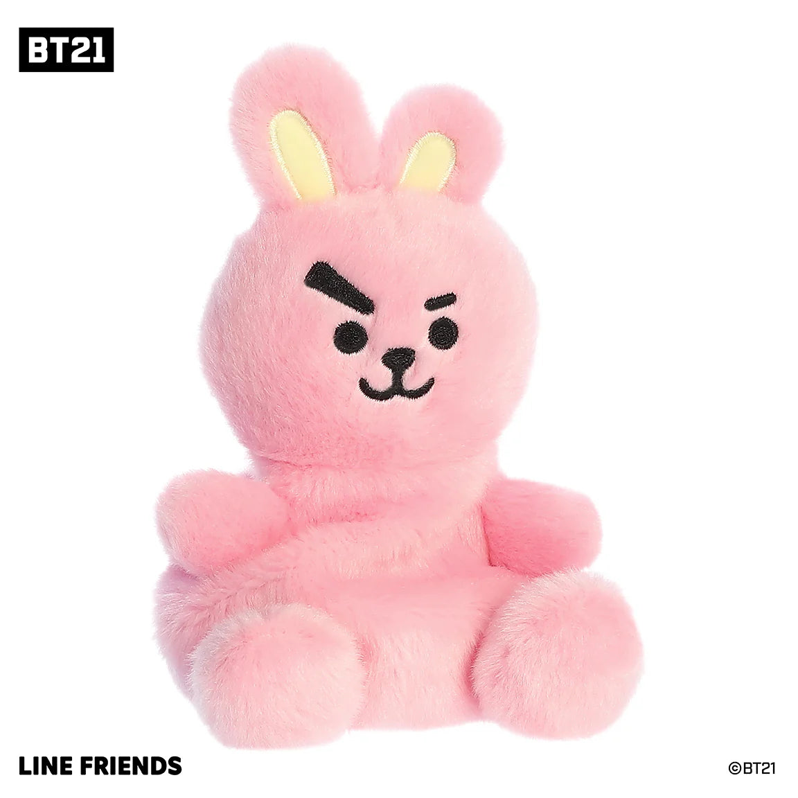 BT21 Cooky Pal Plush - 13 cm