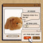 Spudsters Medium Plush - Carmen Capybara